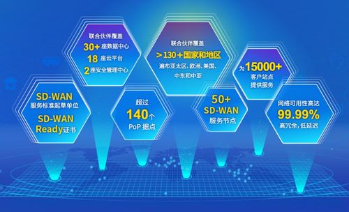 中企通信SD-WAN 一種創(chuàng)新的計算機信息技術咨詢服務